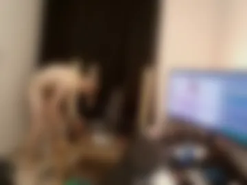 swe9090 live webcam preview