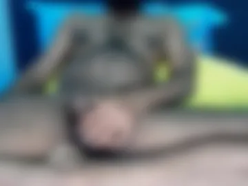 sweeetpool live webcam preview