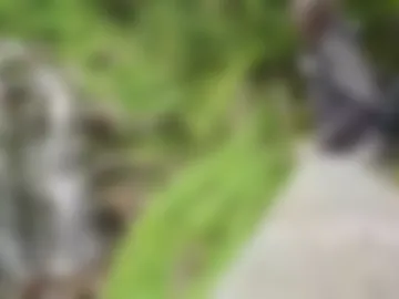 sweetdreamvic photo 8