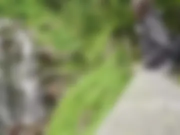 sweetdreamvic photo 5