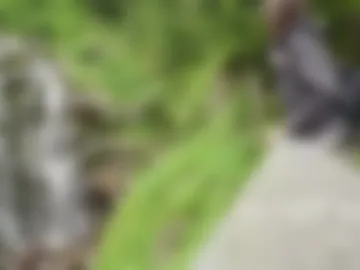 sweetdreamvic photo 4