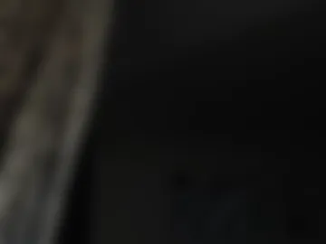 sweetlikeahoneybee live webcam preview