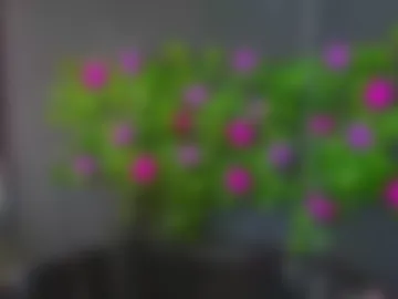 sweett_mollyy photo 2