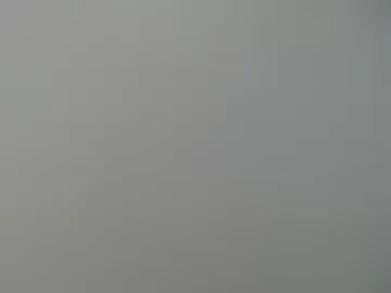 swissslave111 photo 2