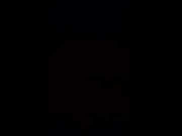 sx504351 photo 2