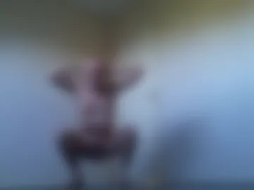 taliesin4321 photo 6