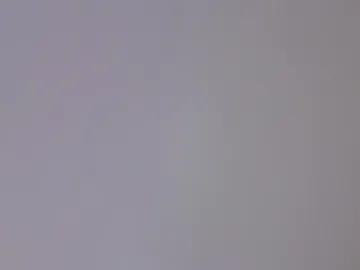tania44bb webcam preview