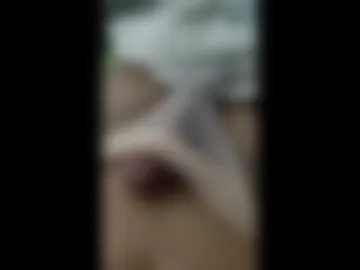 tasty_tash live webcam preview