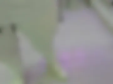 taylor__harper webcam preview