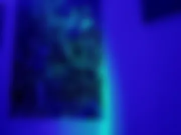 taylorsmitth_ photo 2