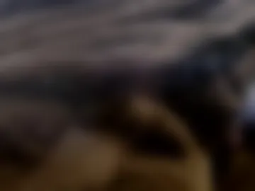 tazerhardwood21 live webcam preview