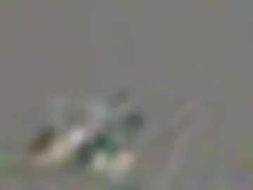 tban29 live webcam preview