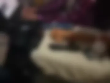 tellmewhattodo420usa live webcam preview