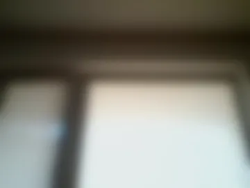 telma34 photo 2