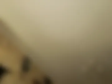 tender__ada webcam preview