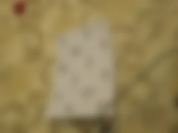 tender__ada webcam preview