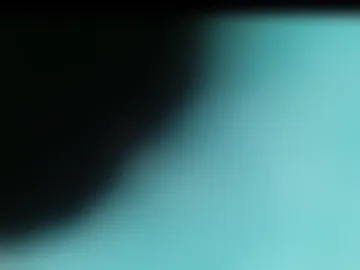 tenderfeet2306 photo 6