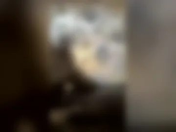 terrancethatarrantula198 live webcam preview