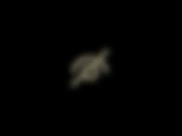 tessatempest photo 3