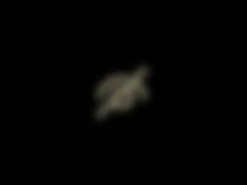 tessatempest photo 2