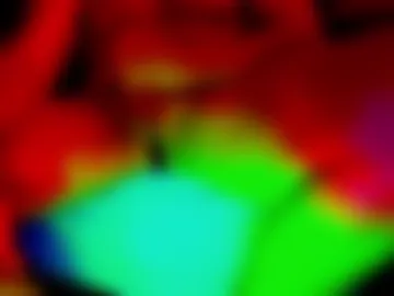 texasdick2_0 photo 2