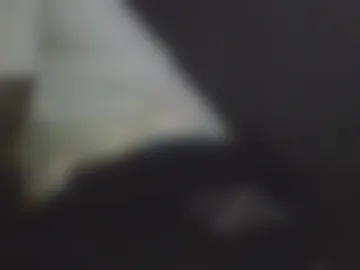 thamouthfromthasouth live webcam preview