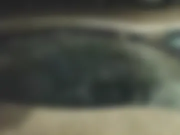 the_beasts2 live webcam preview
