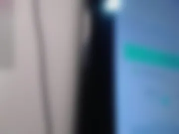 the_best_fox webcam preview
