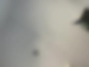 thebbc80 live webcam preview