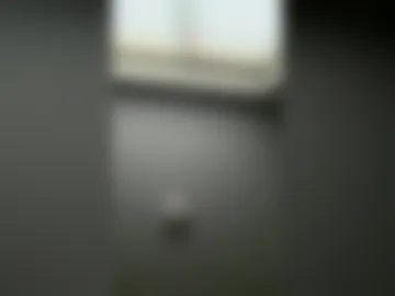 thebizarre live webcam preview