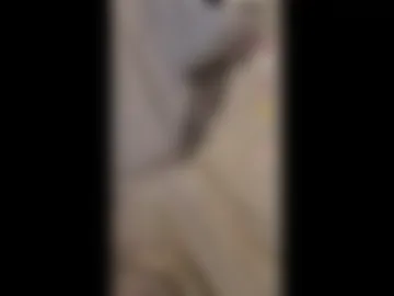 thecarrguyy photo 2