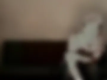 thechillhammer live webcam preview