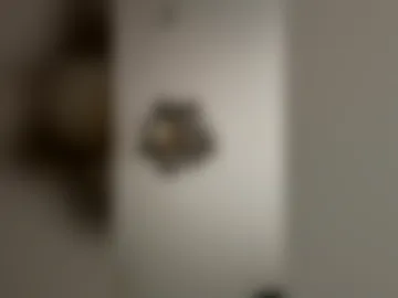 thefake420 photo 8