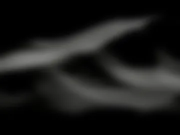 thekiraskys webcam preview