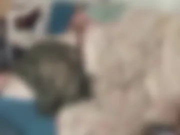 thenymphshow photo 5