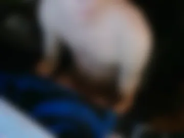 theothede19cm photo 6