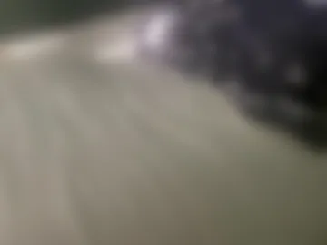 theothede19cm photo 3