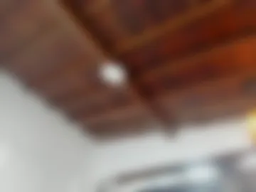 thepam_boobs photo 9