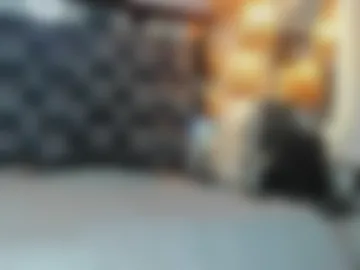 thepam_boobs photo 3