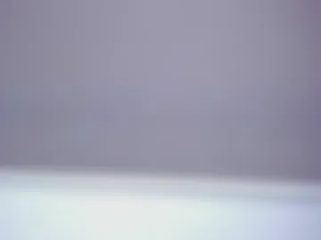thepam_boobs photo 4