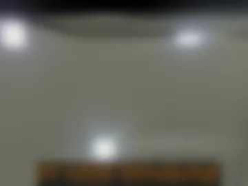 theravenlux webcam preview