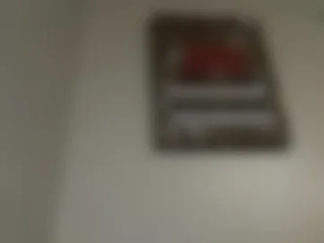 therealferrarii webcam preview