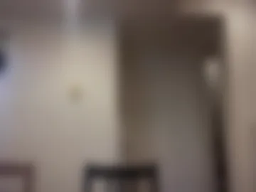 therealveggieboy photo 4