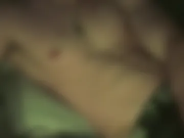 thereturningman webcam preview