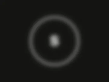 thesashavelvet live webcam preview