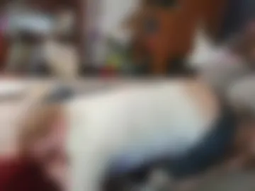 thespinelesscrow live webcam preview