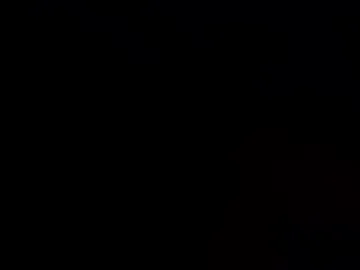 theturtleshead live webcam preview