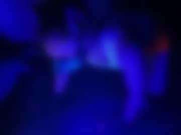 thiccpuppy live webcam preview