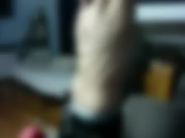 thick_dom webcam preview