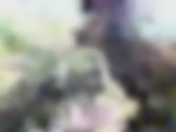 thickfarmtwat photo 2